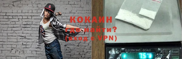 молекула духа Алексин
