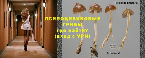 apvp Абаза