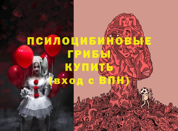apvp Абаза