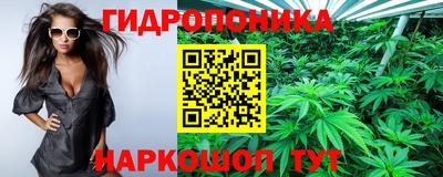 МДПВ Вышний Волочёк