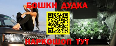 МДПВ Вышний Волочёк