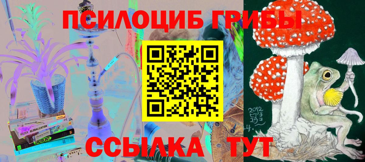 Галлюциногенные грибы прущие грибы  Вход с VPN  Псилоцибиновые грибы GOLDEN TEACHER  Красноперекопск 