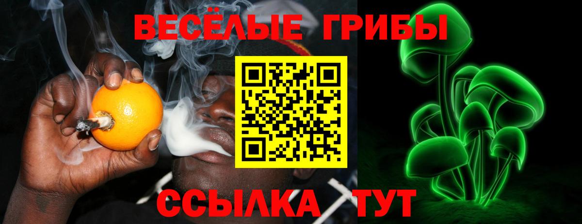 Галлюциногенные грибы MAGIC MUSHROOMS Красноперекопск